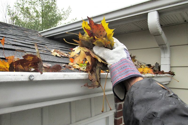 Clogged Gutter with Debris