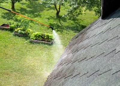 House Roof Cleaning