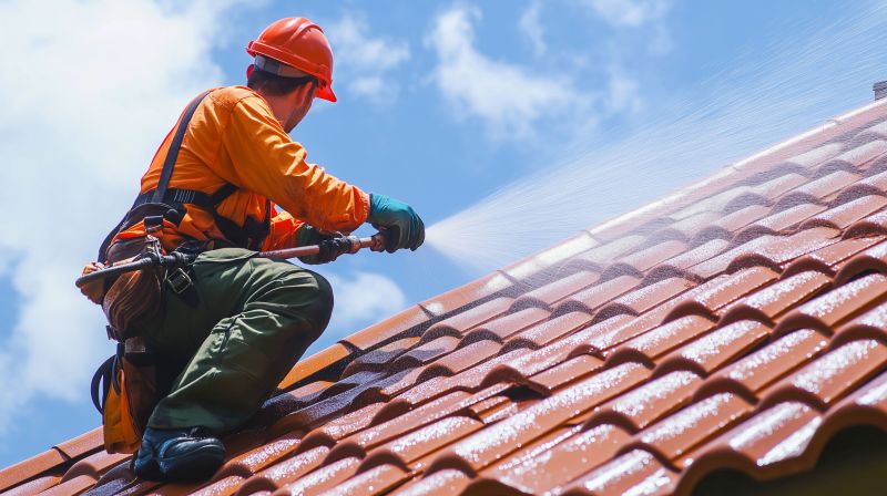 House Roof Cleaning