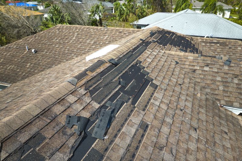 Roof Surface Damage