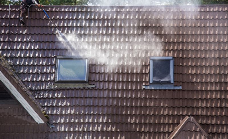 House Roof Cleaning