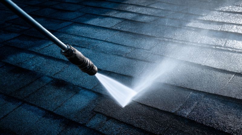 House Roof Cleaning