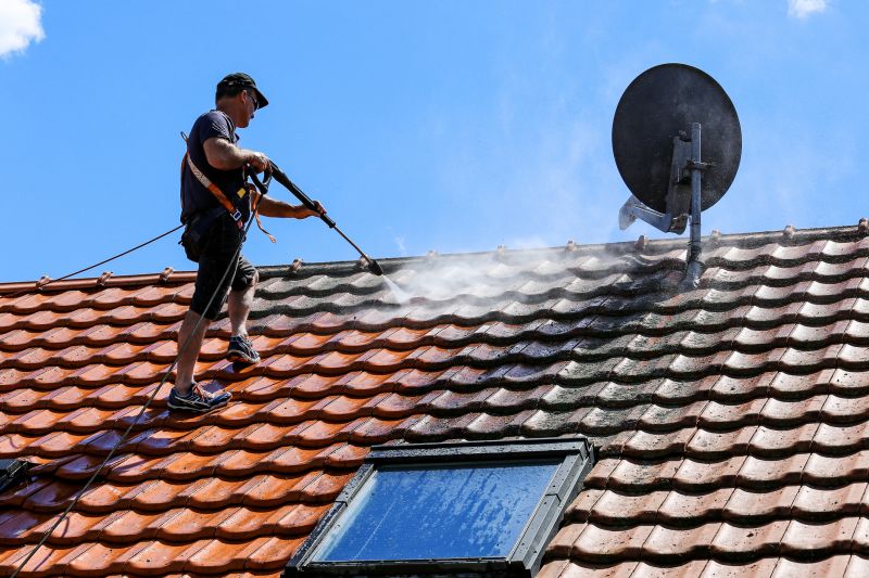 House Roof Cleaning