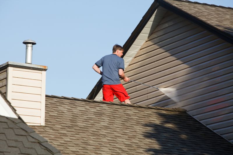 House Roof Cleaning