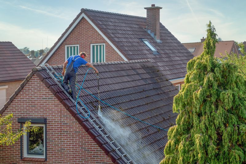 Products For House Roof Cleanings in use
