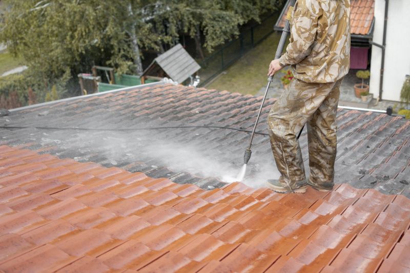 Professional Roof Cleaning