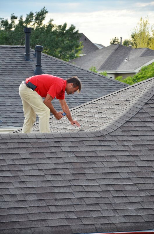 Inspecting the Roof Before Cleaning